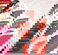 Big Bus Chicago Hop-On Hop-Off Tour - Accommodation Massachusetts