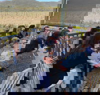 The Ultimate Wine Tasting Tour with Picnic Lunch - Accommodation Massachusetts