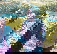 Private SUV Wine Tour of Temecula Valley - Accommodation Massachusetts