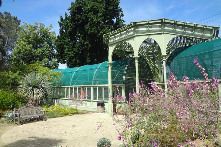 Ruth Bancroft Garden General Admission Ticket - thumb 0