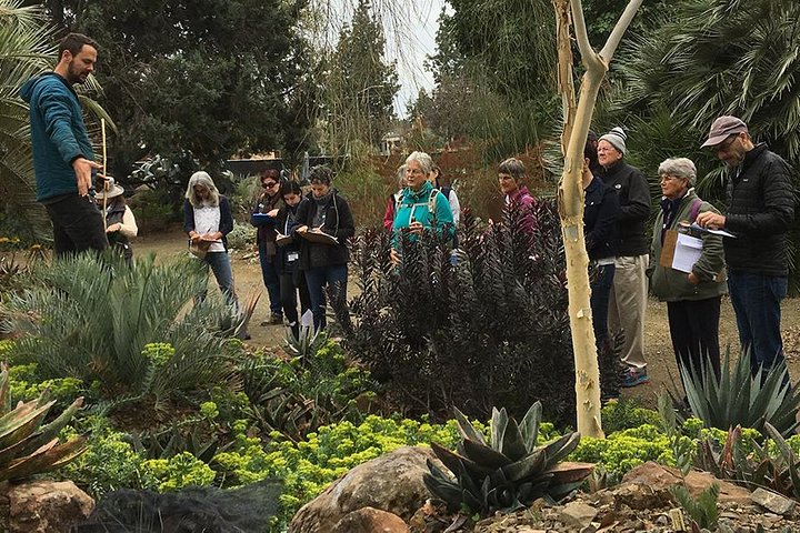 Ruth Bancroft Garden General Admission Ticket - thumb 4