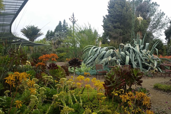 Ruth Bancroft Garden General Admission Ticket - thumb 5