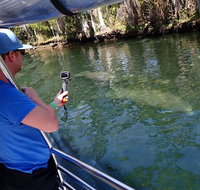 Manatee Viewing Cruise - Accommodation Massachusetts