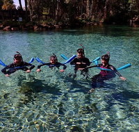 Small group Manatee snorkeling tour with in water guide - Accommodation Massachusetts