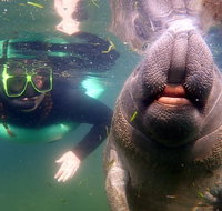Private Manatee Tour - Accommodation Massachusetts