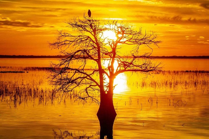 1-Hour Sunset Airboat Ride - thumb 2