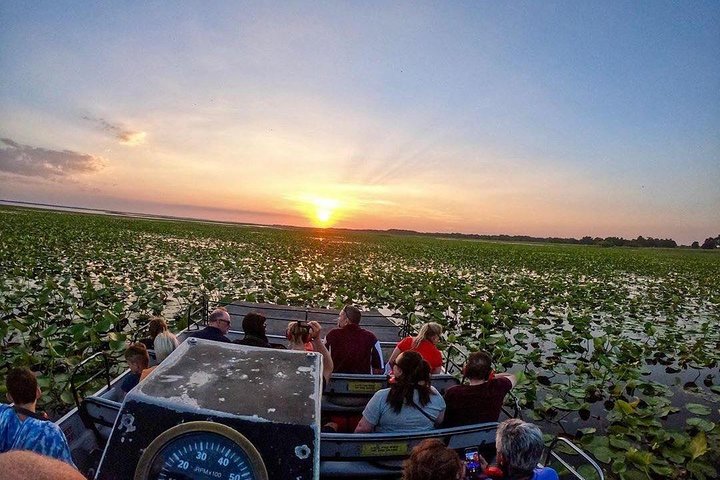 1-Hour Sunset Airboat Ride - thumb 4
