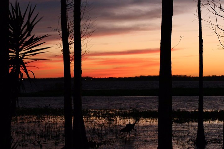 1-Hour Sunset Airboat Ride - thumb 5