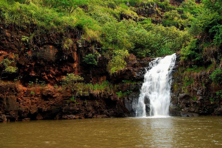 Waimea Valley Nature Walk To Waterfall - thumb 1