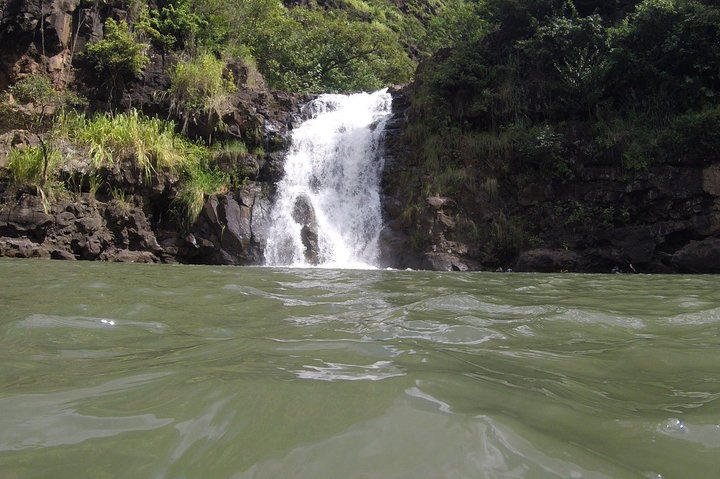 Waimea Valley Nature Walk To Waterfall - thumb 4
