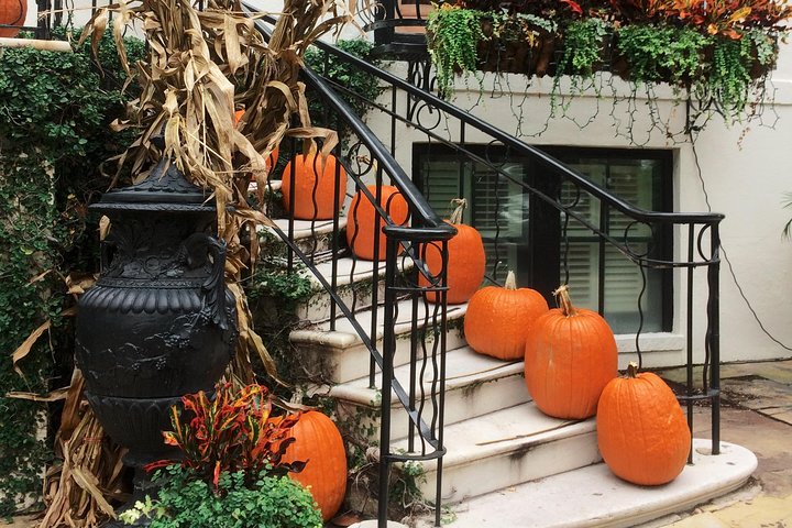 Genteel and Bard's Savannah History Walking Tour