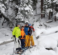 Snowshoe or XC Ski in North Yellowstone Half Day - Accommodation Massachusetts