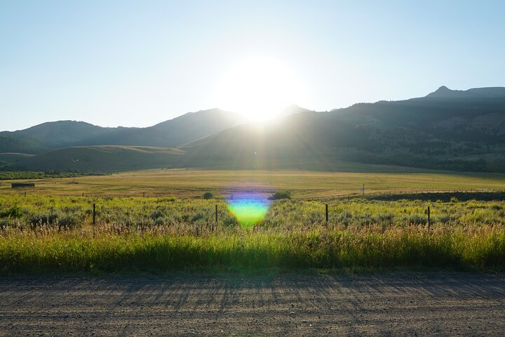 Sundowner Grizzly Excursion Tour - thumb 2