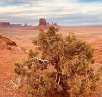 Monument Valley Backcountry Tour - Accommodation Massachusetts