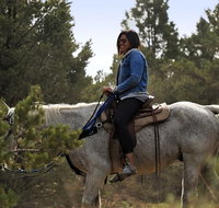 East Zion Twin Knoll Horseback Ride Experience - Accommodation Massachusetts