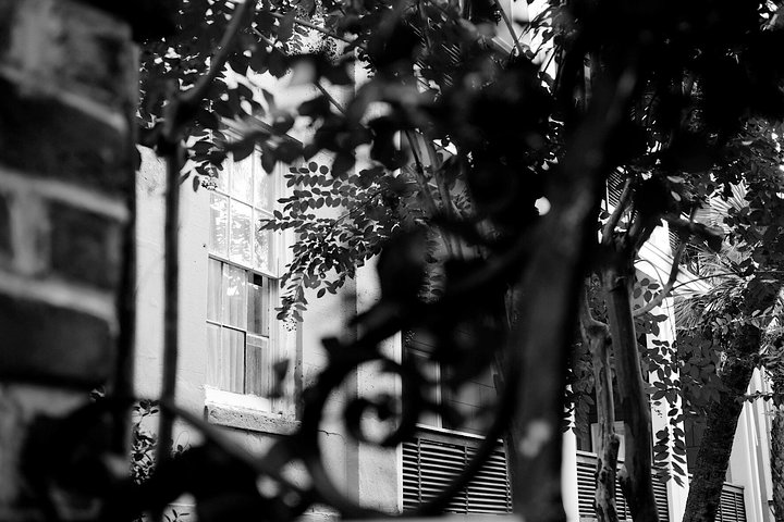 Genteel and Bard's Savannah Dark History and Ghost Walking Tour