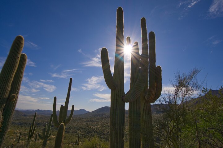 Iconic Tom's Thumb Hiking Adventure In Scottsdale - thumb 0