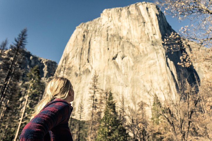 Yosemite National Park And Giant Sequoias Day Trip From San Francisco - thumb 4