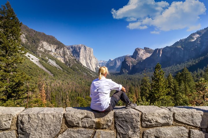 Yosemite National Park And Giant Sequoias Day Trip From San Francisco - thumb 5