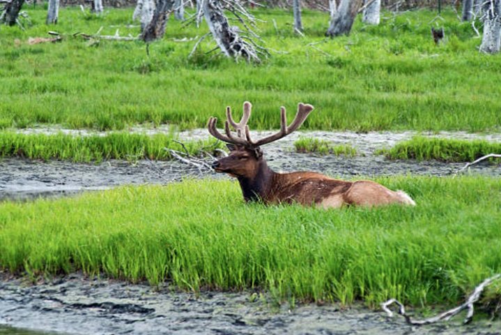 Book Viator Accommodation Vacations, Accommodation Massachusetts Accommodation Massachusetts